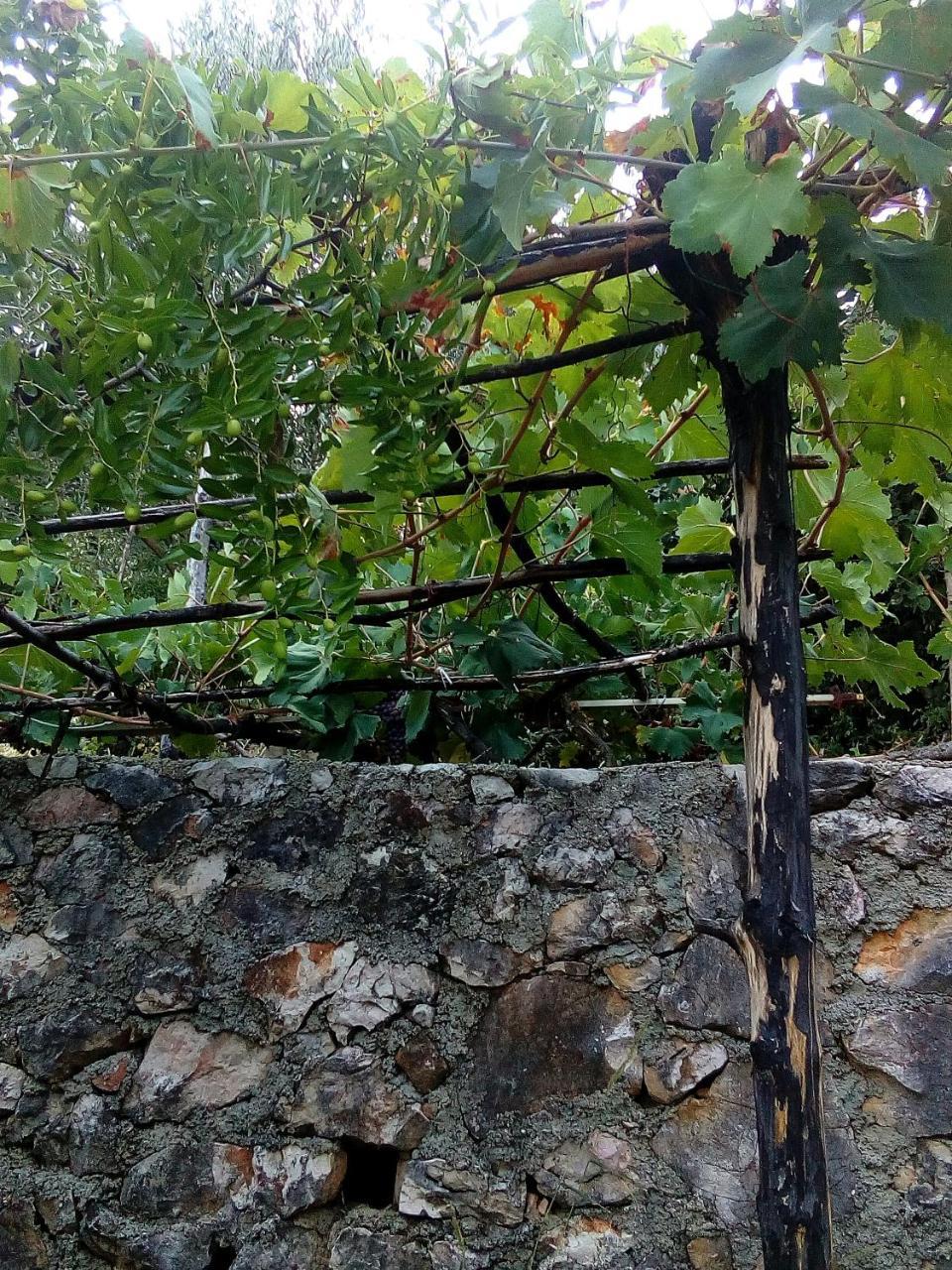 Country House "Lipa" Komarno Virpazar Exterior foto